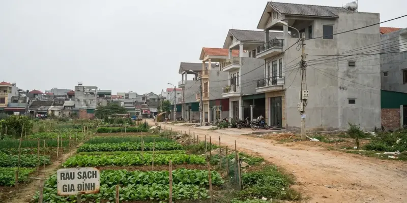 Ranh giới giữa thửa đất nông nghiệp đang canh tác và dãy nhà mới xây phía sau