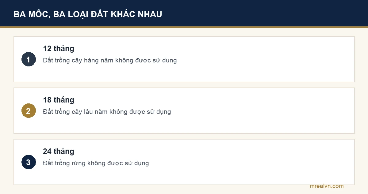 Sơ đồ ba mốc thời gian thu hồi đất không sử dụng theo Điều 81