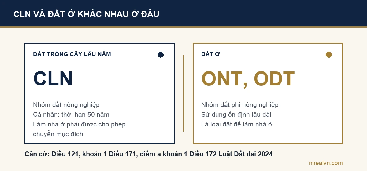 So sánh đất trồng cây lâu năm CLN thuộc nhóm nông nghiệp với đất ở ONT, ODT sử dụng ổn định lâu dài theo Luật Đất đai 2024