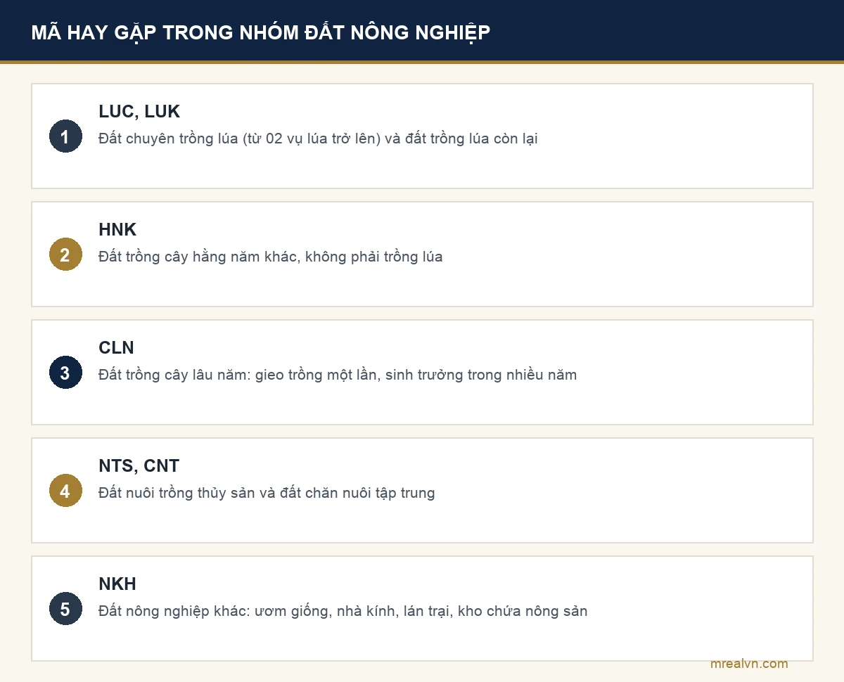 Các mã hay gặp trong nhóm đất nông nghiệp NNP: LUC, LUK, HNK, CLN, NTS, CNT và NKH theo Thông tư 08/2024/TT-BTNMT