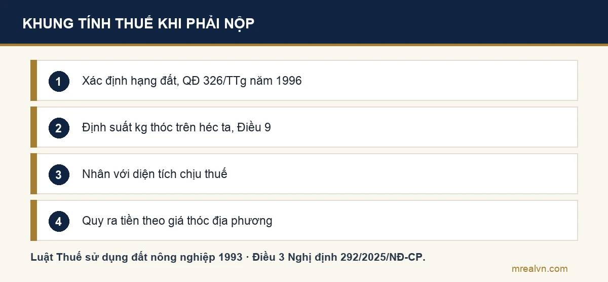 Các bước tính thuế sử dụng đất nông nghiệp khi không được miễn: xác định hạng đất, định suất kilôgam thóc trên héc ta, nhân diện tích, quy ra tiền theo giá thóc