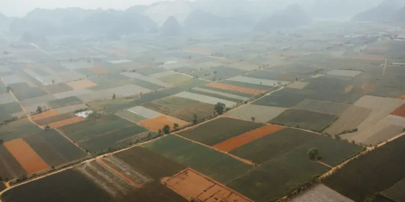 Cánh đồng ở Việt Nam nhìn từ trên cao, các thửa đất chia ô bằng bờ và đường đất, minh họa ranh giới thửa đất cần được xác định và cắm mốc