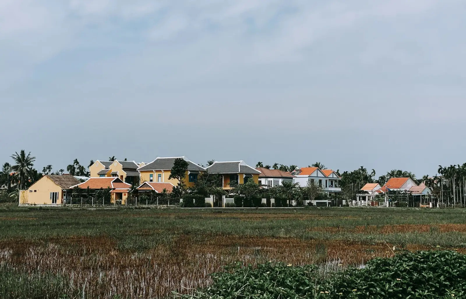 Một dãy nhà ở làng quê Việt Nam nằm cạnh cánh đồng, minh họa nhà vợ chồng xây trên đất của gia đình