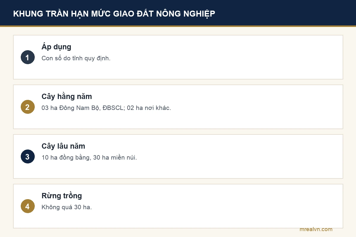 Bảng bốn dòng: con số áp dụng do tỉnh quy định; cây hằng năm tối đa 03 ha ở Đông Nam Bộ và đồng bằng sông Cửu Long, 02 ha nơi khác; cây lâu năm 10 ha đồng bằng, 30 ha trung du miền núi; rừng trồng 30 ha