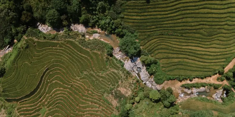 Ruộng bậc thang trên sườn núi ở Lào Cai, Việt Nam, nhìn từ trên cao, minh họa đất nông nghiệp được người dân khai hoang trồng trọt