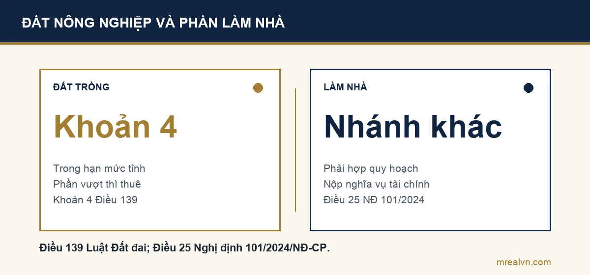 Sơ đồ so sánh: phần đất nông nghiệp khai hoang đi theo khoản 4 Điều 139; phần đã làm nhà ở phải xét nhánh khác, phù hợp quy hoạch và nộp nghĩa vụ tài chính