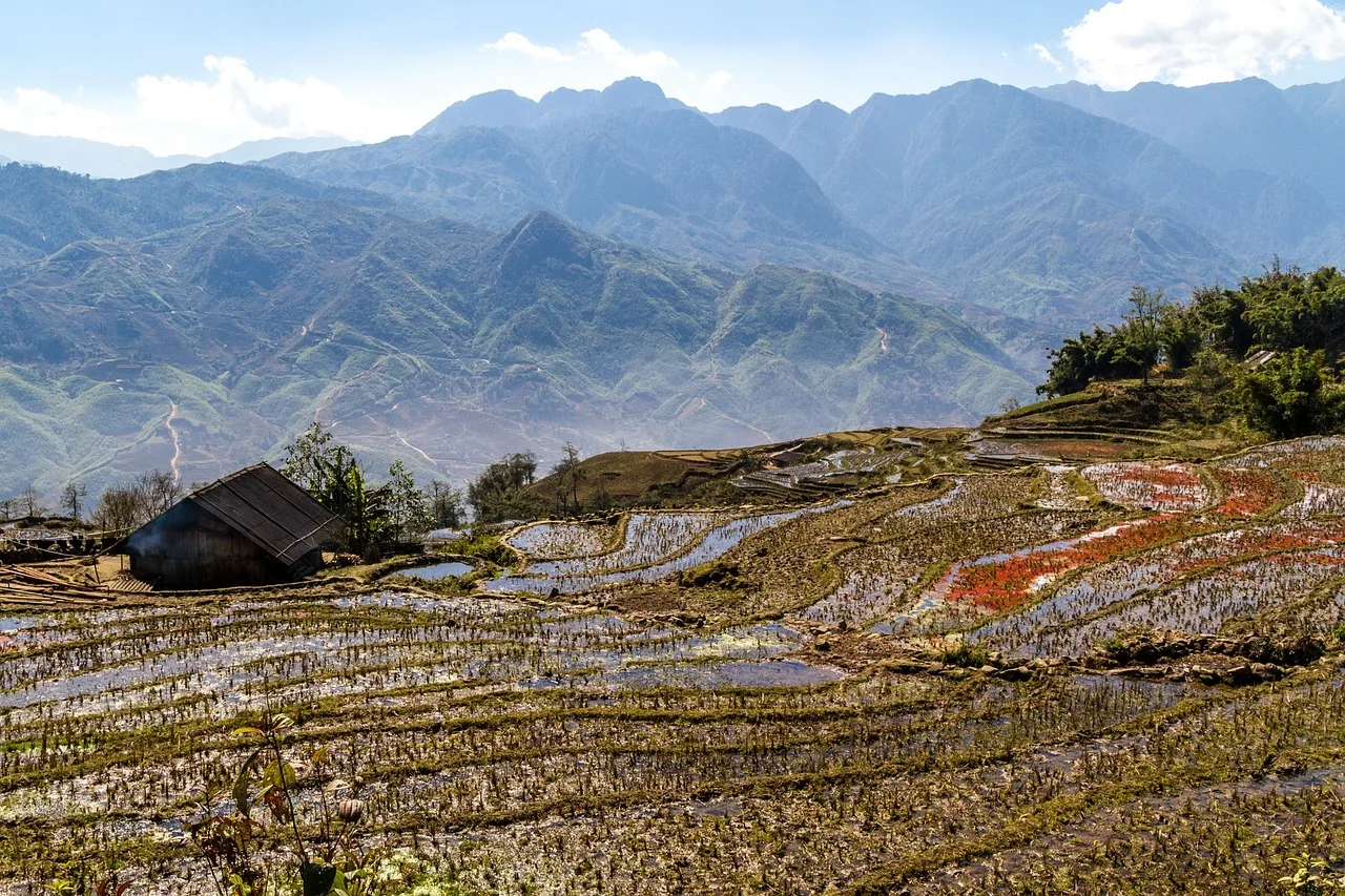 Ruộng bậc thang mới cày bên một căn nhà nhỏ ở Sa Pa, Việt Nam, minh họa đất nông nghiệp tự khai hoang đang sử dụng