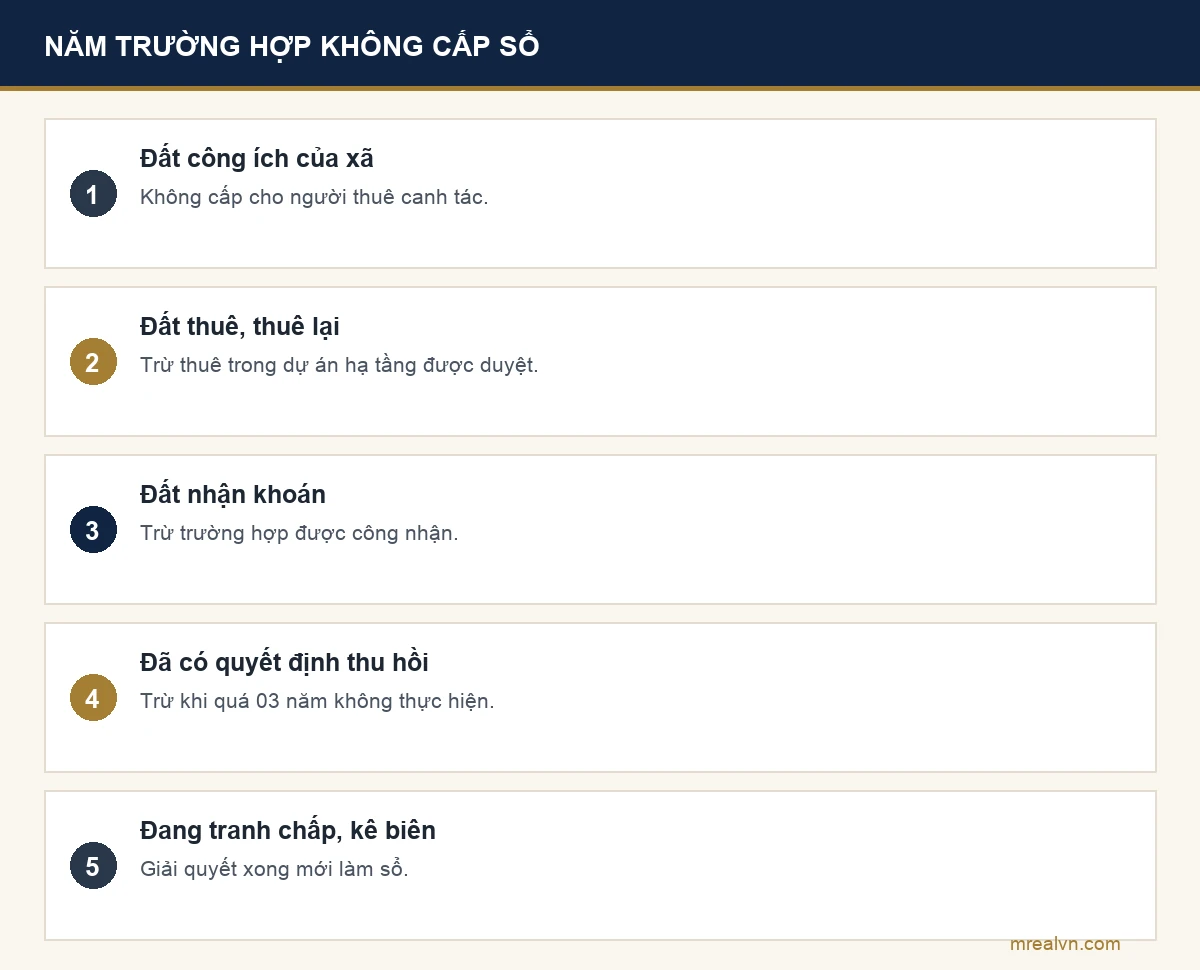 Bảng năm trường hợp đất nông nghiệp không được cấp sổ đỏ theo khoản 1 Điều 151 Luật Đất đai 2024: đất công ích của xã, đất thuê lại, đất nhận khoán, đất đã có quyết định thu hồi, đất đang tranh chấp hoặc kê biên