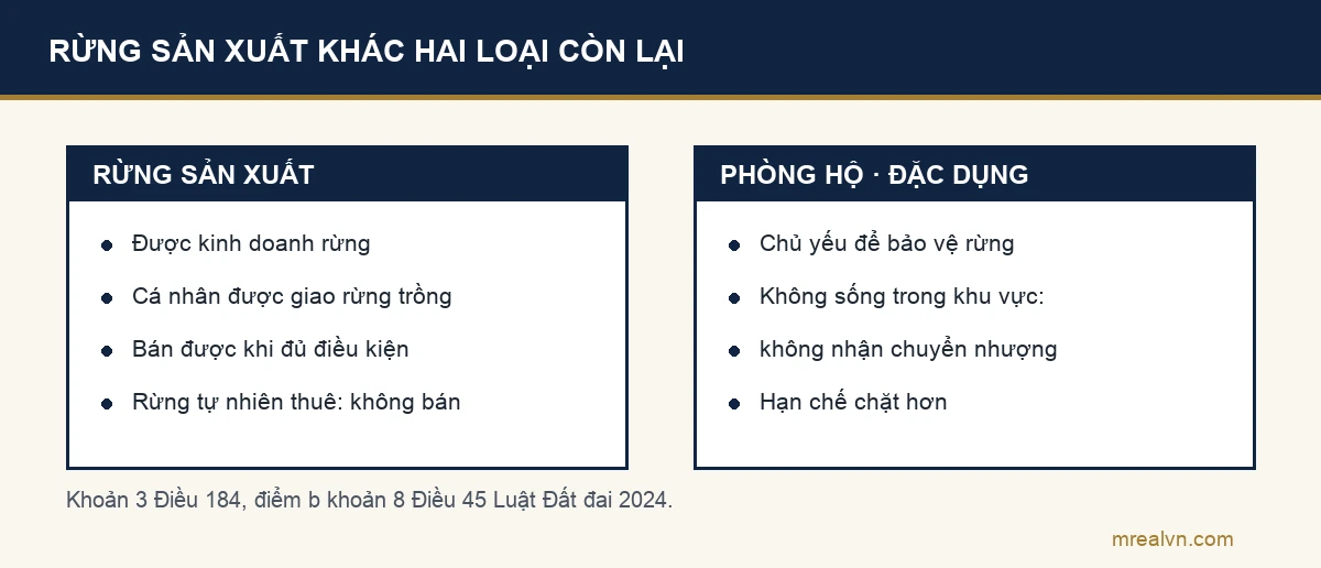 Sơ đồ hai cột: rừng sản xuất được kinh doanh rừng, cá nhân được giao rừng trồng, chuyển nhượng khi đủ điều kiện, rừng tự nhiên thuê đất thì không được chuyển nhượng; rừng phòng hộ và đặc dụng chủ yếu để bảo vệ, người không sống trong khu vực không được nhận chuyển nhượng