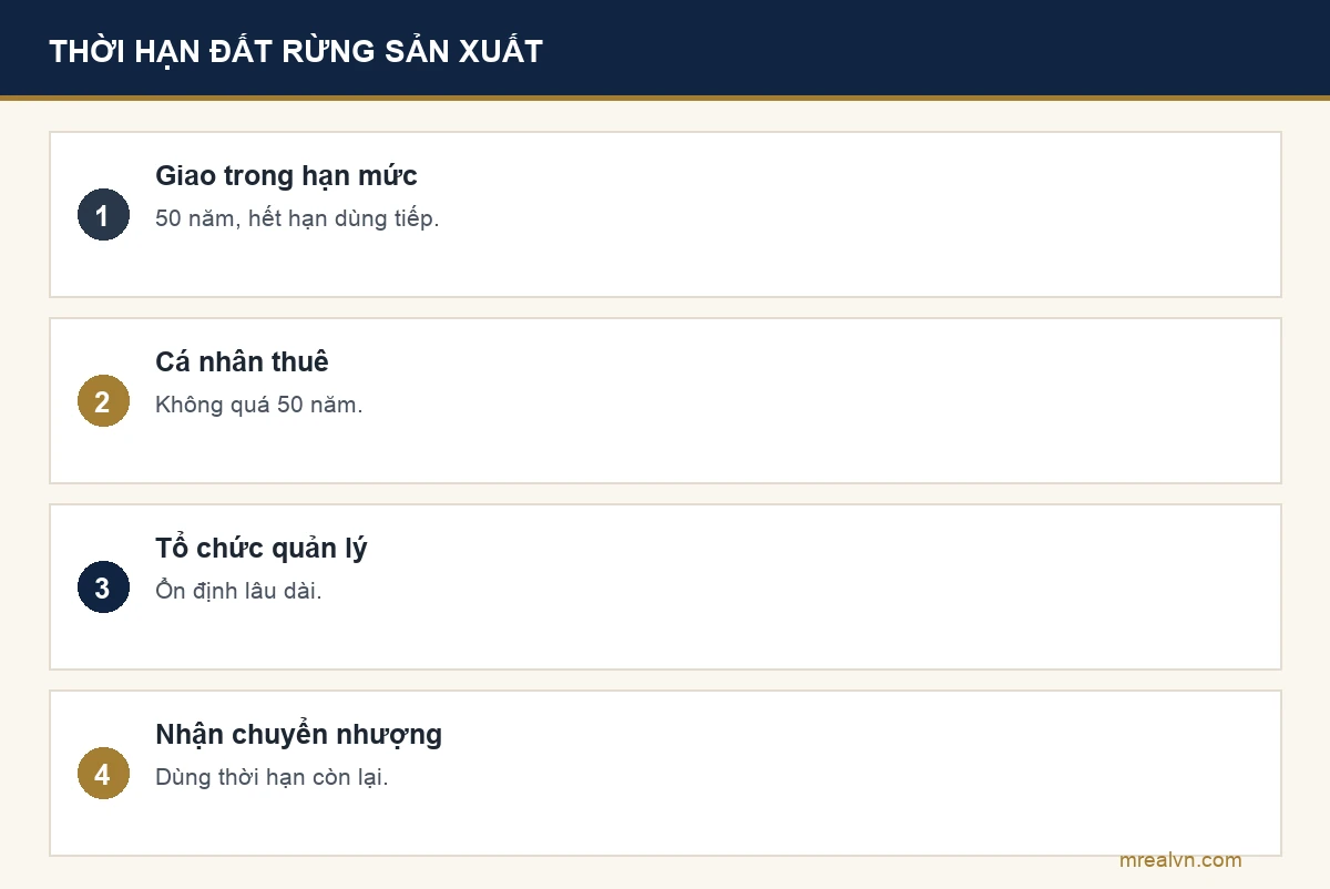 Bảng bốn dòng: cá nhân giao rừng trồng trong hạn mức 50 năm, hết hạn dùng tiếp không gia hạn; cá nhân thuê đất không quá 50 năm; tổ chức quản lý ổn định lâu dài; nhận chuyển nhượng dùng phần thời hạn còn lại