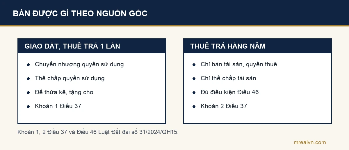 Sơ đồ hai cột theo Điều 37 Luật Đất đai 2024: đất giao có thu tiền hoặc thuê trả một lần thì được chuyển nhượng, thế chấp quyền sử dụng đất; đất thuê trả tiền hằng năm chỉ bán tài sản và quyền thuê, thế chấp tài sản, phải đủ điều kiện Điều 46