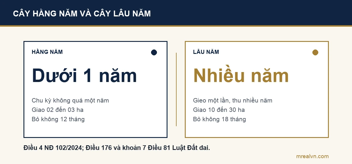 Sơ đồ so sánh: đất trồng cây hằng năm có cây chu kỳ không quá một năm, hạn mức giao 02 đến 03 ha, bỏ không 12 tháng có thể bị thu hồi; đất trồng cây lâu năm gieo một lần thu nhiều năm, hạn mức 10 đến 30 ha, mốc 18 tháng