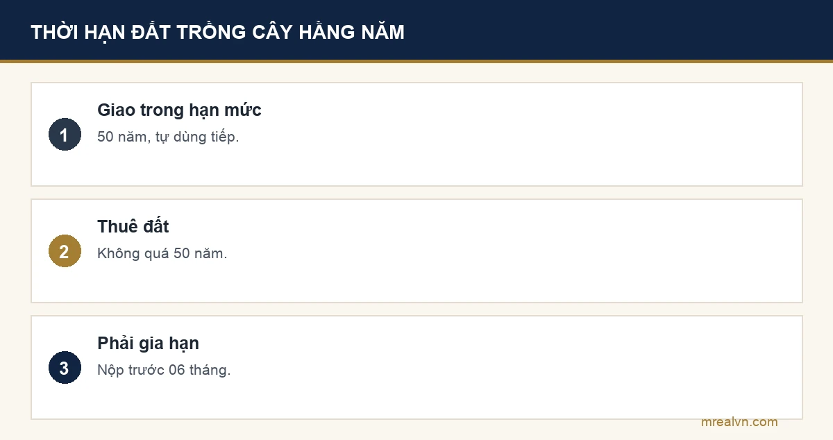 Bảng ba dòng về thời hạn theo Điều 172 Luật Đất đai: giao trong hạn mức cho cá nhân trực tiếp sản xuất 50 năm, hết hạn dùng tiếp không phải gia hạn; thuê đất nông nghiệp không quá 50 năm; trường hợp phải gia hạn nộp hồ sơ chậm nhất 06 tháng trước khi hết hạn