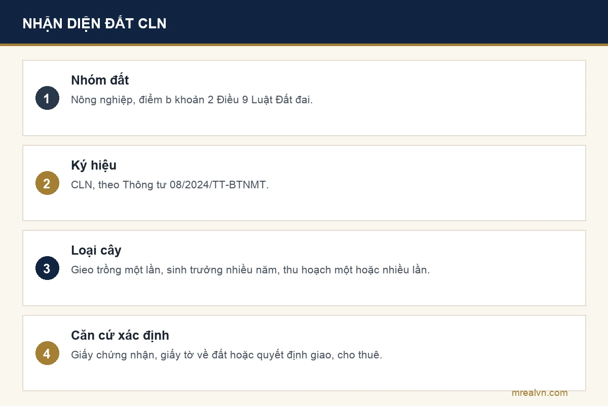 Bảng nhận diện đất trồng cây lâu năm: thuộc nhóm đất nông nghiệp theo Điều 9 Luật Đất đai 2024, ký hiệu CLN theo Thông tư 08/2024, cây gieo trồng một lần và thu hoạch nhiều năm theo Nghị định 102/2024, loại đất xác định theo giấy tờ