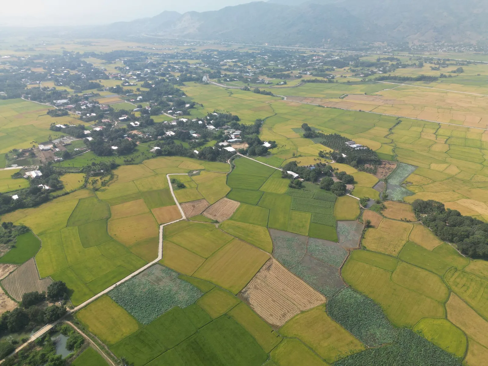 Cánh đồng và làng quê Việt Nam nhìn từ trên cao với đường bê tông nội đồng chạy giữa các thửa ruộng, minh họa đường giao thông nội đồng làm khi dồn điền đổi thửa