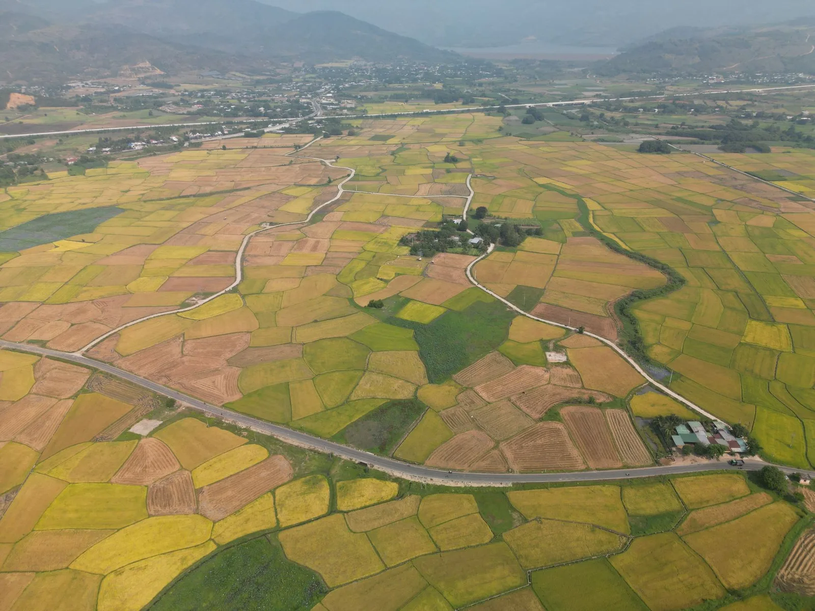 Cánh đồng lúa chia nhiều ô và con đường nhỏ ở một vùng quê Việt Nam nhìn từ trên cao, minh họa các thửa đất chưa có sổ