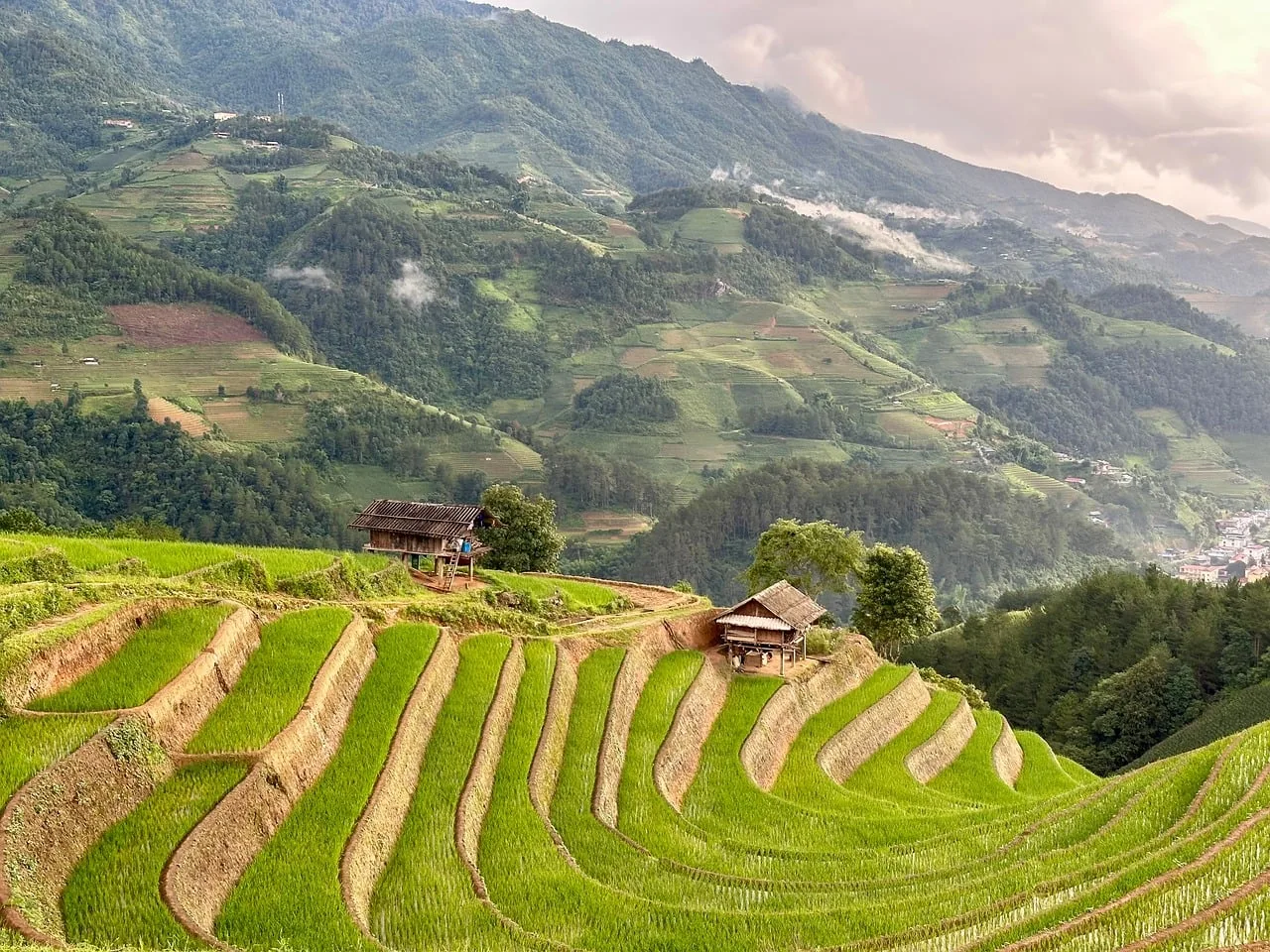 Ruộng bậc thang và nhà dân ở Mù Cang Chải, Yên Bái, minh họa đất nông nghiệp được giao, cho thuê có thời hạn