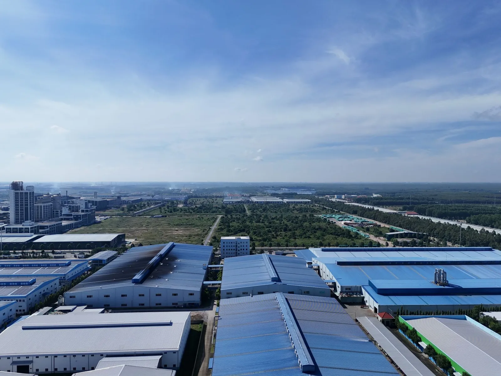Các dãy nhà xưởng và cây xanh trong khu công nghiệp ở Bình Dương, minh họa hợp đồng thuê đất làm nhà xưởng, kho bãi