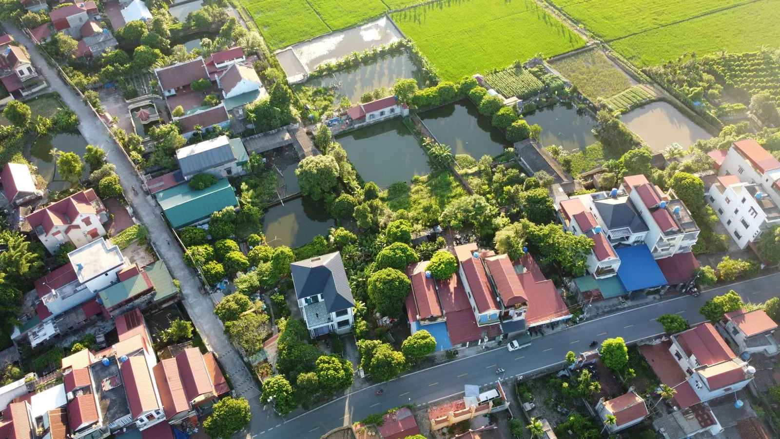 Làng quê Việt Nam nhìn từ trên cao với đường làng nhỏ chạy giữa các thửa nhà, ao và ruộng, minh họa việc góp đất mở rộng đường làng