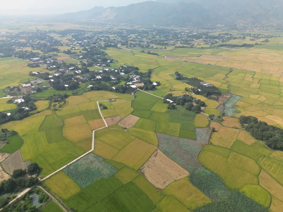 Ảnh chụp từ trên cao những thửa ruộng và đường bờ ở vùng quê Việt Nam, minh họa đất nông nghiệp thường gặp trong khiếu nại thu hồi, bồi thường
