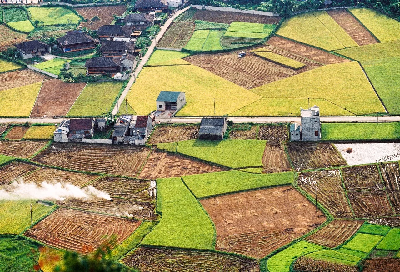 Làng quê Việt Nam nhìn từ trên cao với các ô ruộng và nhà dân, minh họa thủ tục đất đai khác nhau theo từng tỉnh